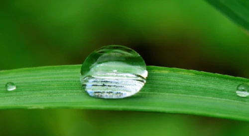 자동차-시동안걸림-연료탱크수분