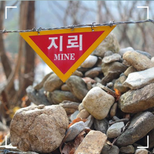 북한군 군사분계선 침범12