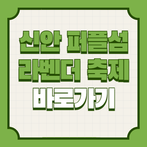 신안 퍼플섬 라벤더 축제 2025 기본정보 입장료 가는길