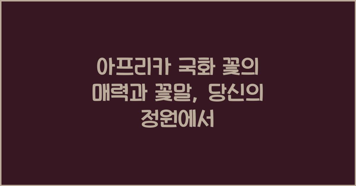 아프리카 국화 꽃의 매력과 꽃말