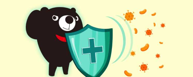 우엉 효능 - 면역력 강화