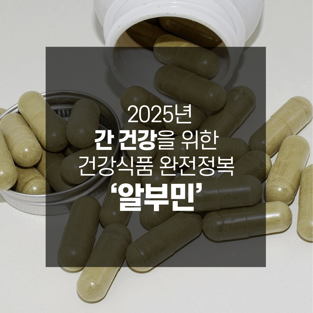 TV조선 &lt;굿모닝 정보세상&gt; 1211회- 2025년 간 건강을 위한 알부민 건강식품 완전정복