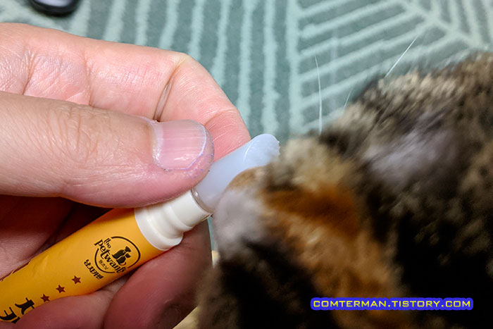 냥치카펜으로 고양이 칫솔질