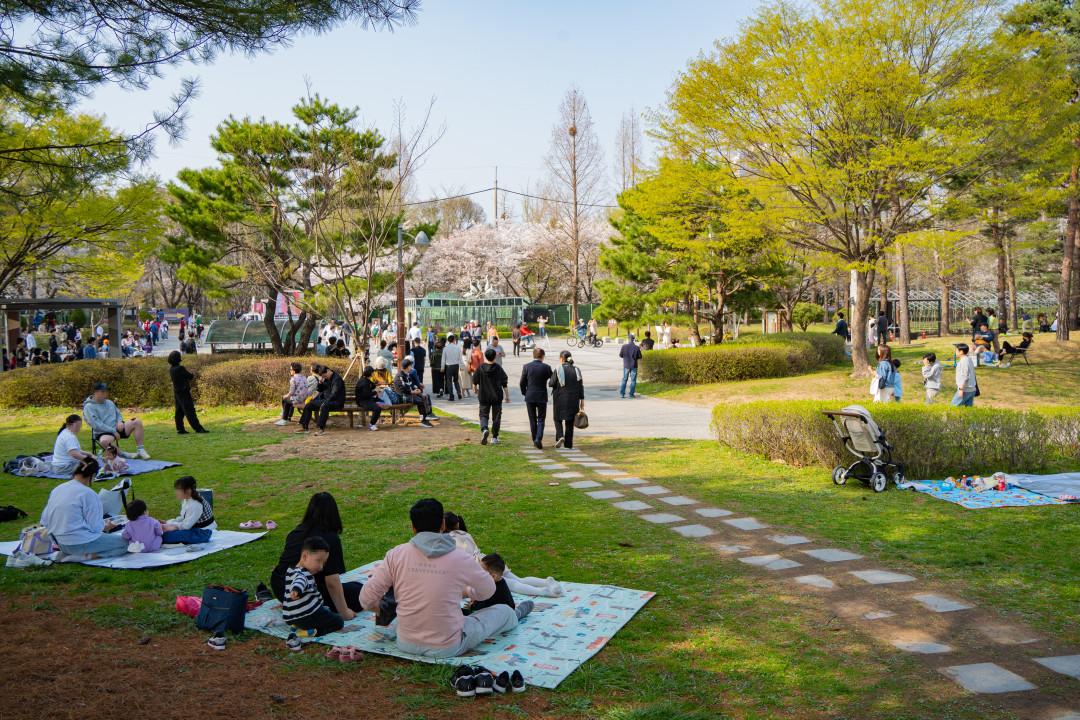 수원 서호공원 피크닉