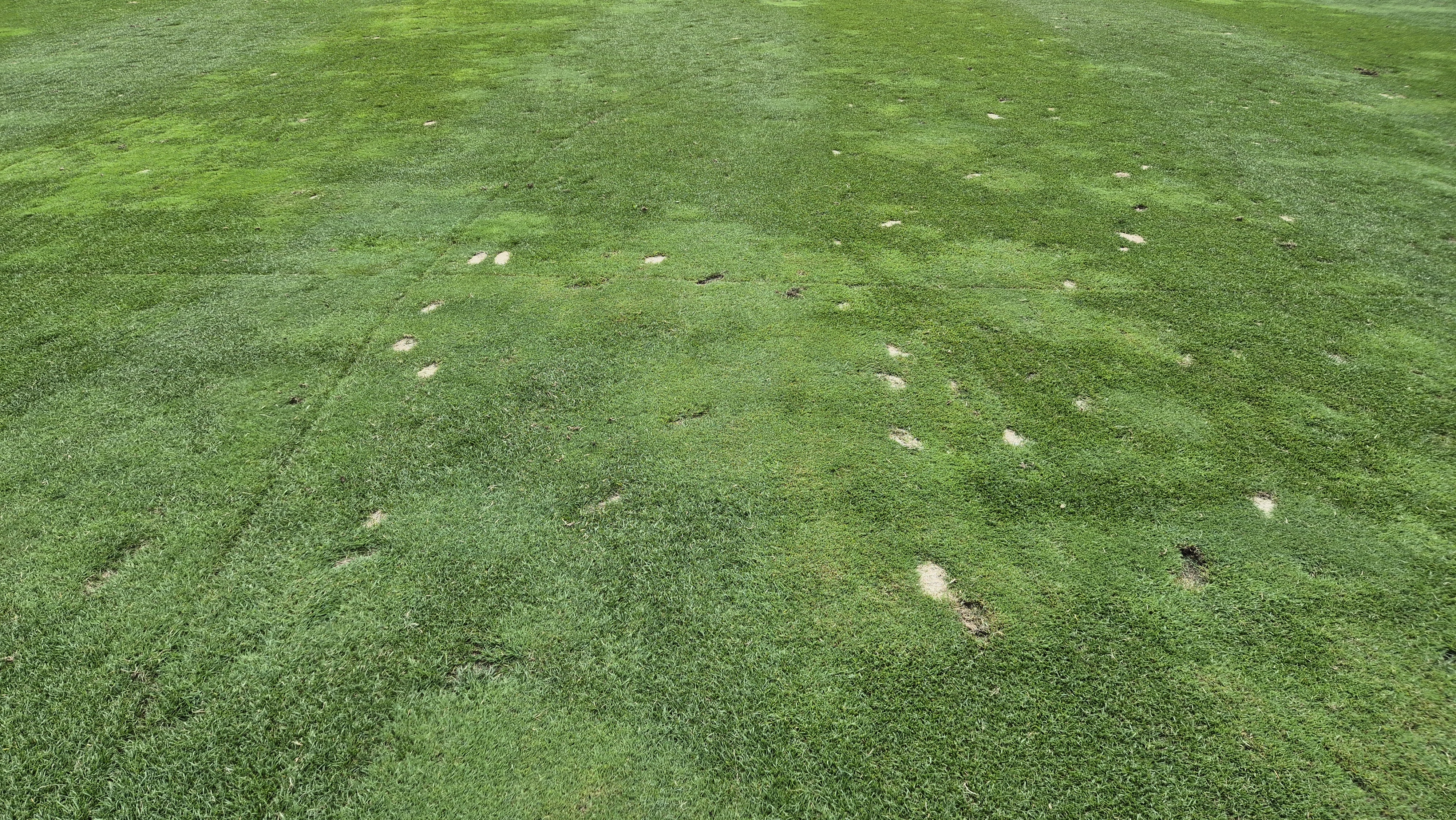 오너스gc 라운드 후기