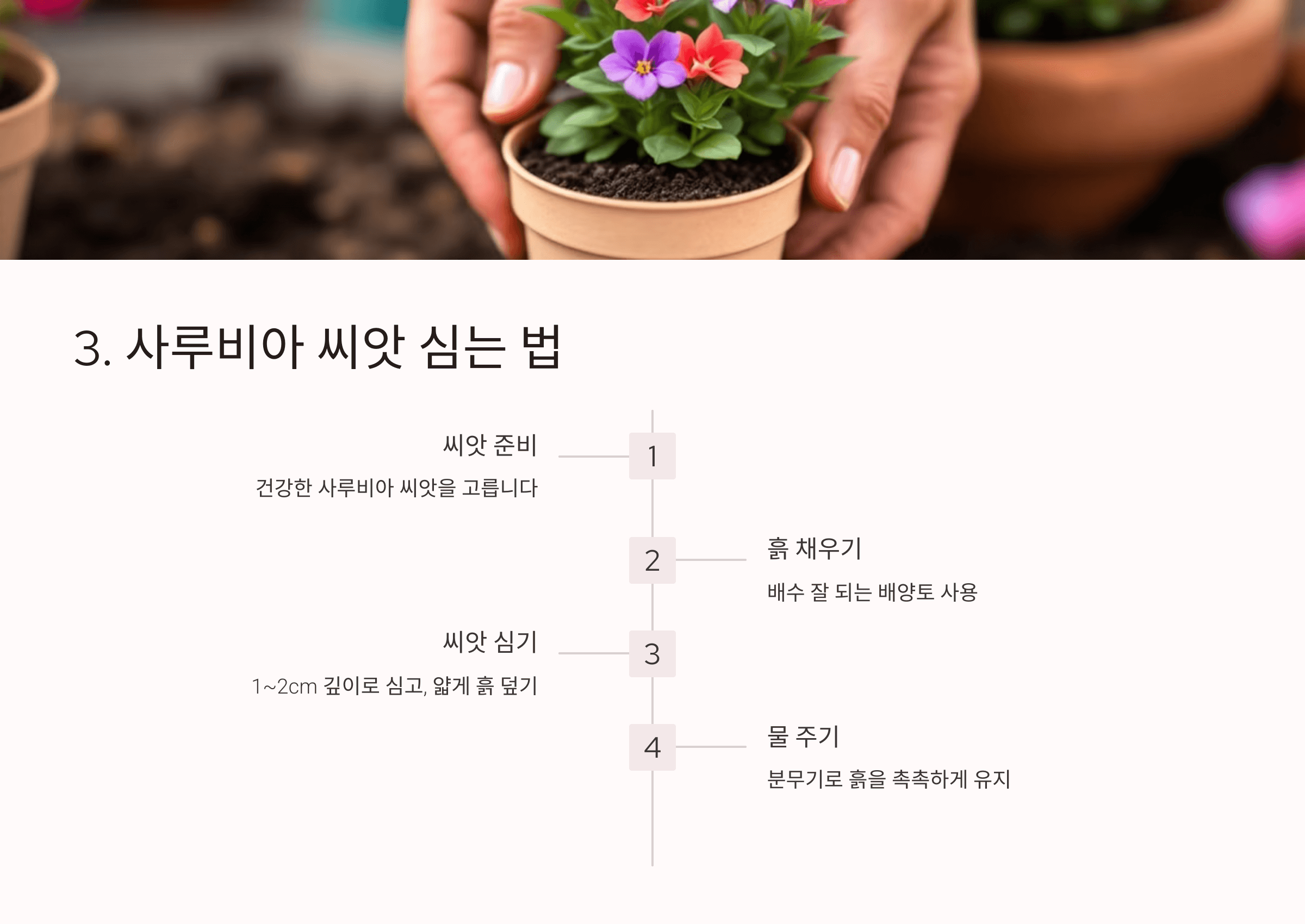 사루비아 사진입니다.