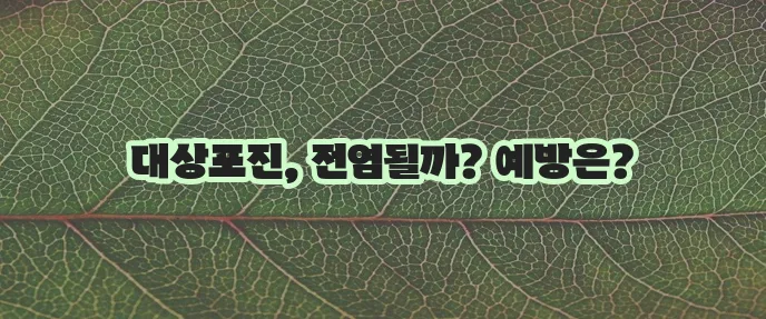 대상포진 전염성 꼭 알아야겠죠 대상포진 증상과 예방접종까지!