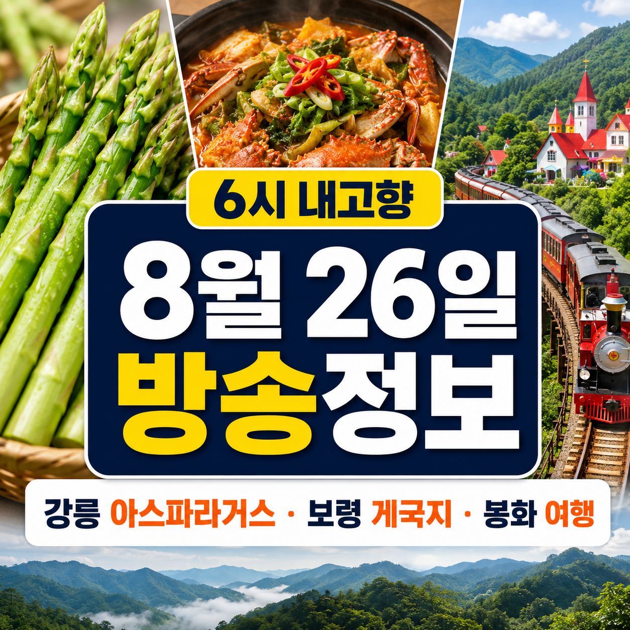 6시 내고향 8월 26일