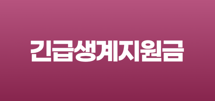 긴급생계지원금