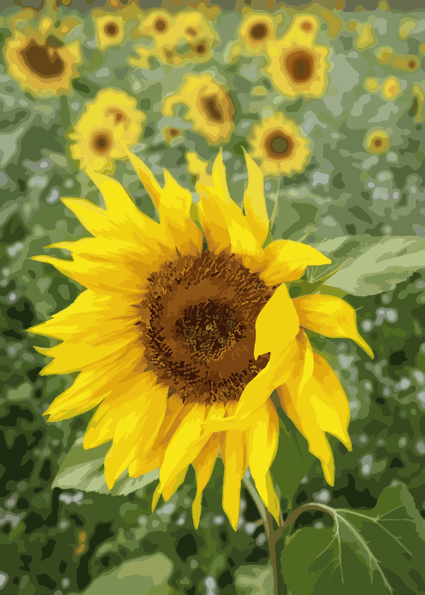 Simplified Image (Color-Reduced Version)