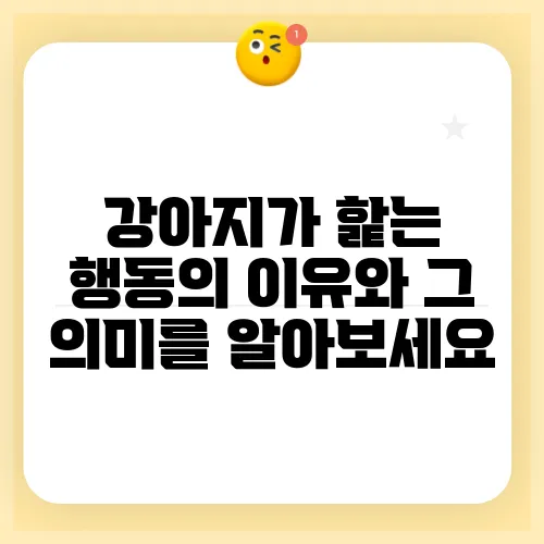강아지가 핥는 행동의 이유와 그 의미를 알아보세요
