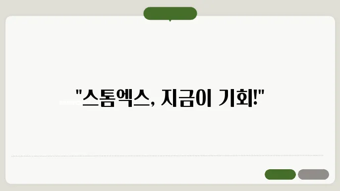 스톰엑스 코인 미래 성장 가능성