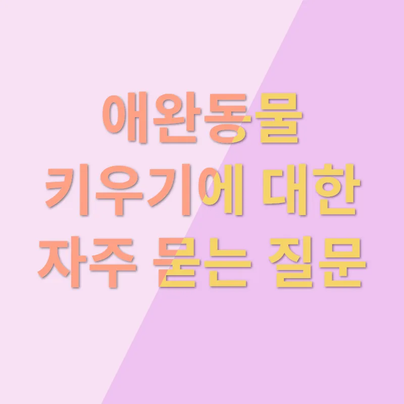 애완동물 키우기_4