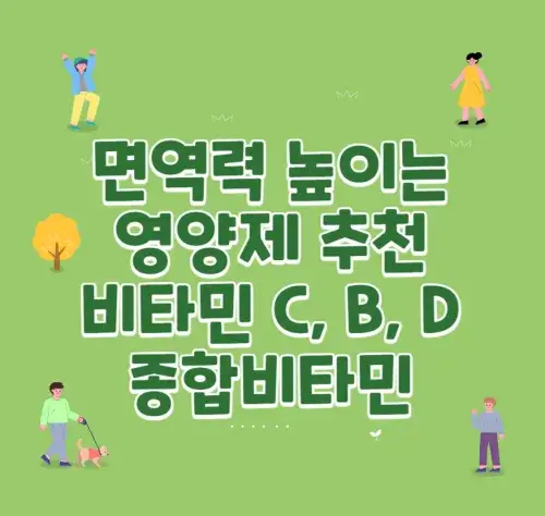 면역력 높이는 영양제2