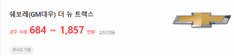 더 뉴 트랙스 중고차