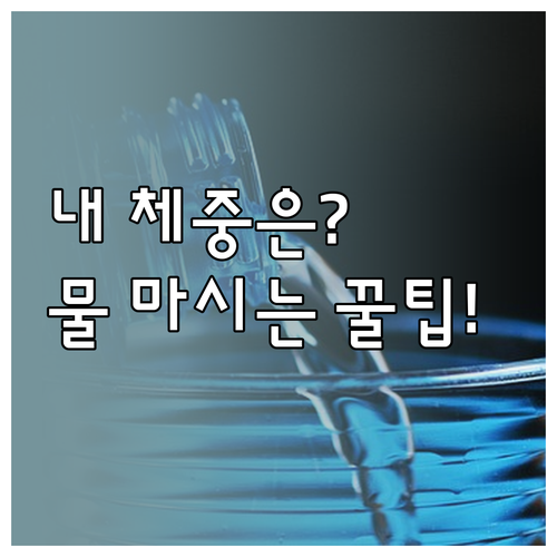 체중별 계산법과 섭취 팁 겨울철 건강..