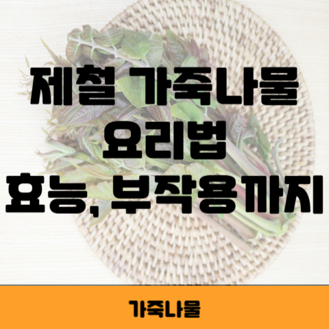 가죽나물 썸네일