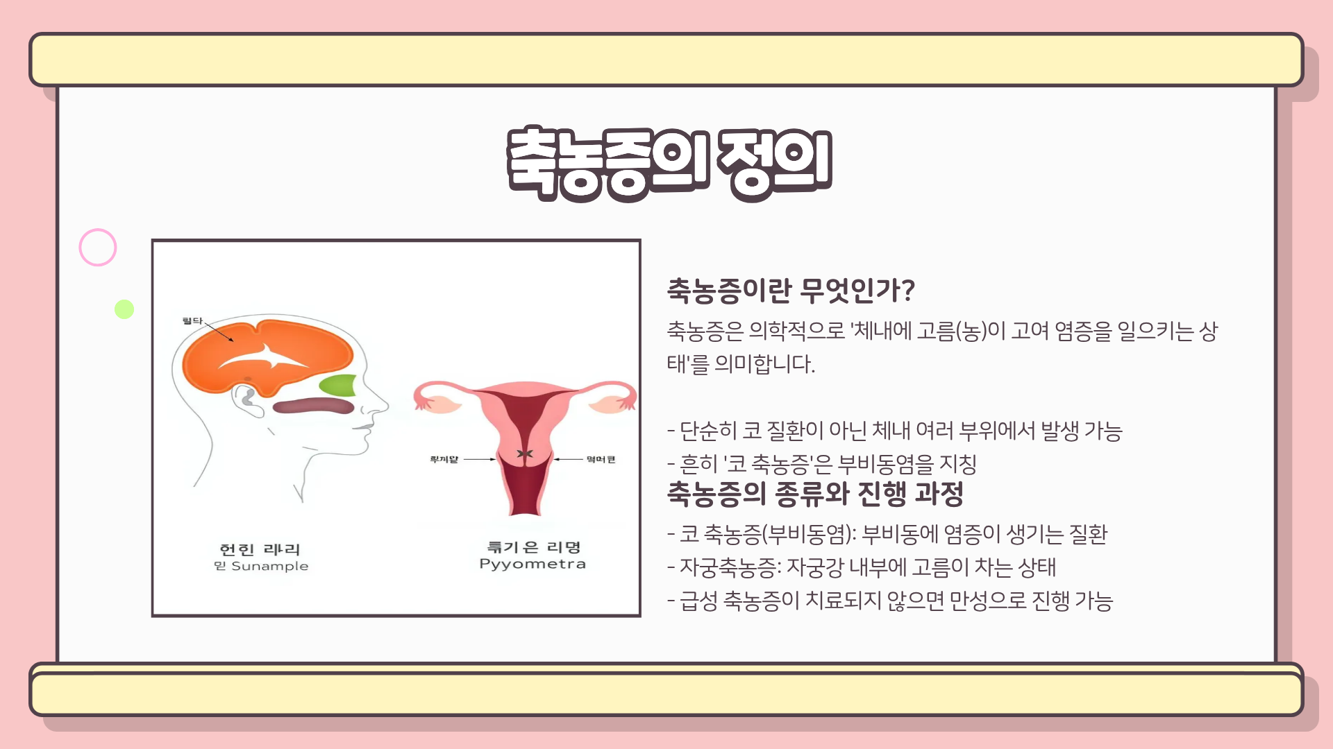 축농증 증상과 원인, 만성 축농증 증상, 자궁축농증 증상까지 완벽 정리