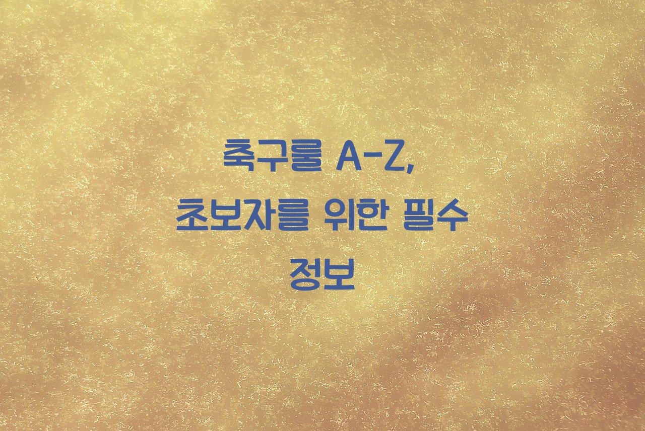 축구룰