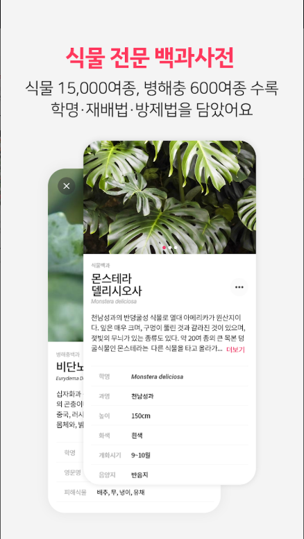 식물 이름 찾기 어플, 식물 백과사전, 식물도감