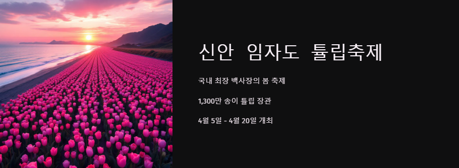 신안 임자도 튤립축제 기간 주차 꿀팁 총정리