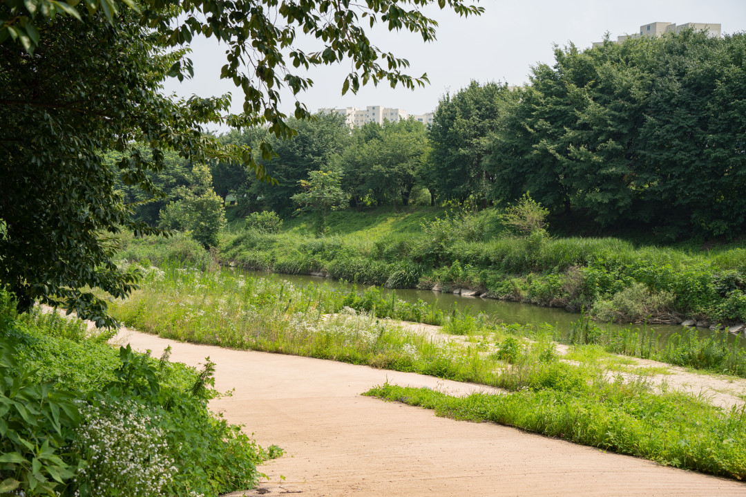 고색 뉴지엄 황구지천
