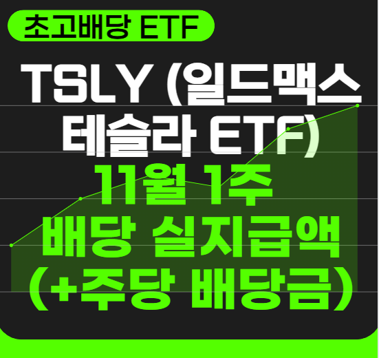TSLY-(일드맥스-테슬라-ETF)-11월-1주-배당-실지급액-(+주당-배당금)