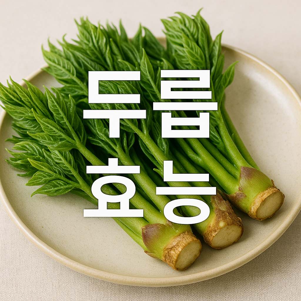 두릅 효능