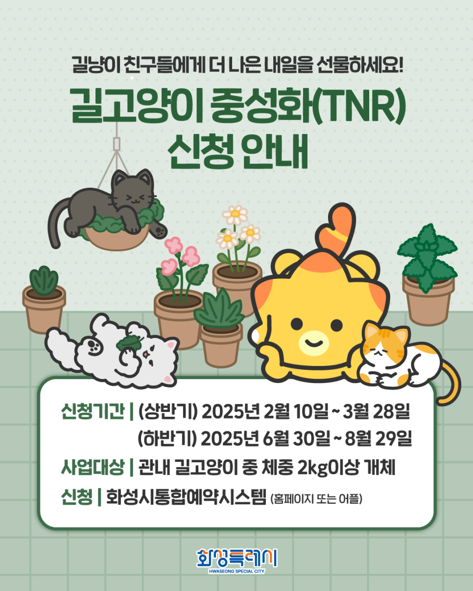 길고양이 중성화(TNR) 신청 방법