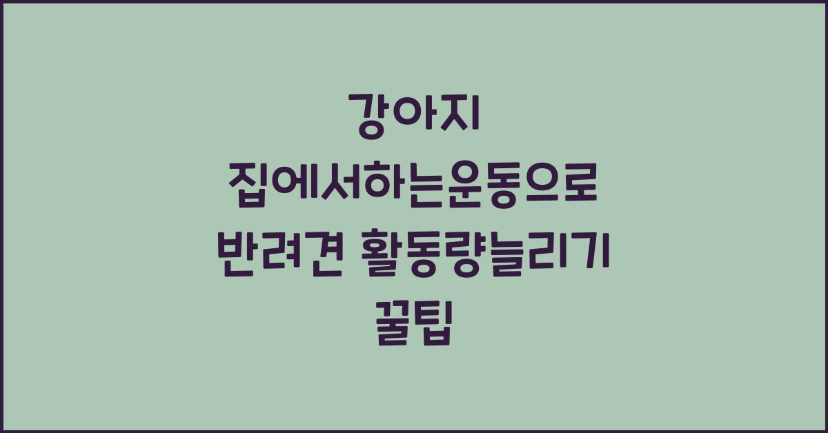 강아지 집에서하는운동, 반려견 활동량늘리기  