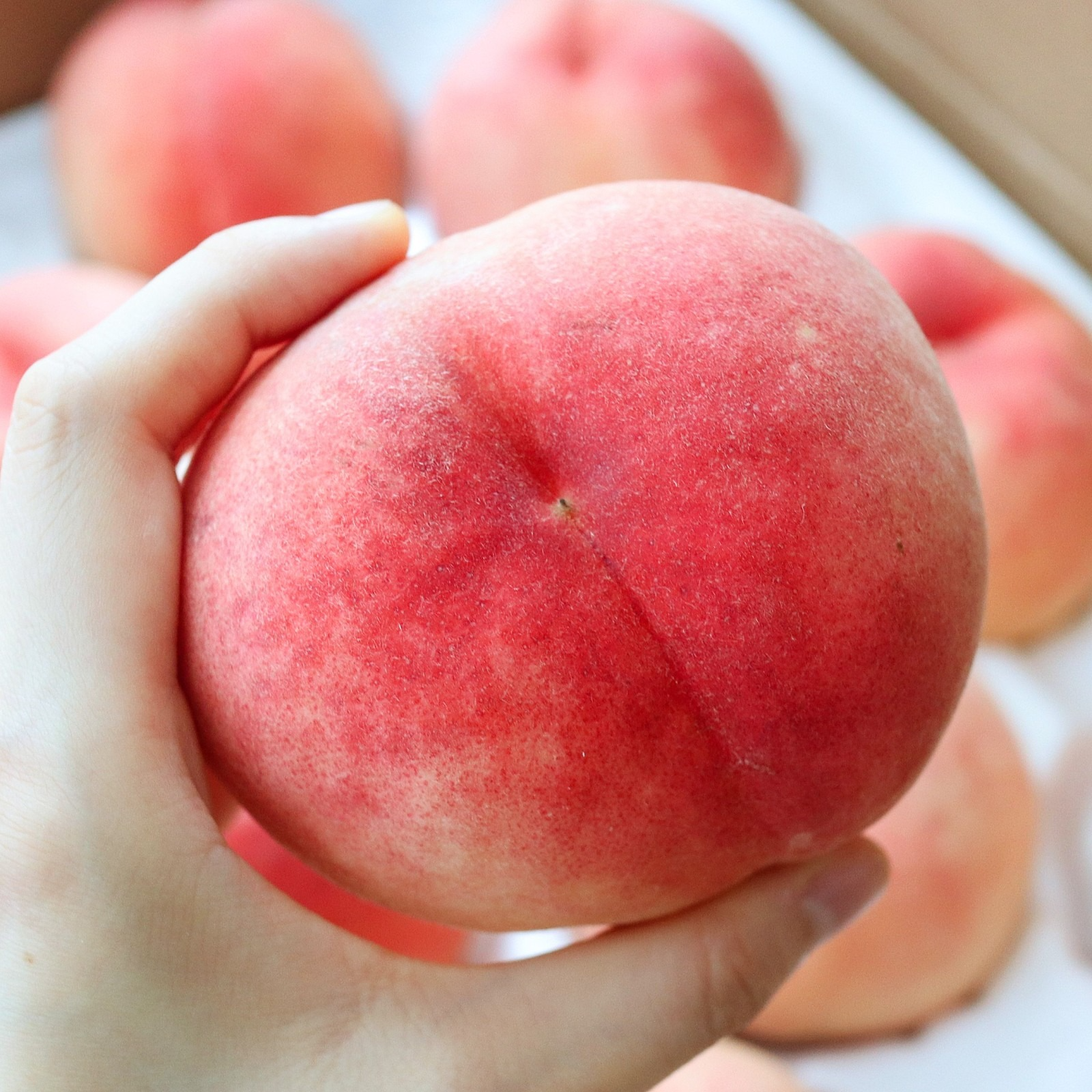 복숭아 효능 및 부작용