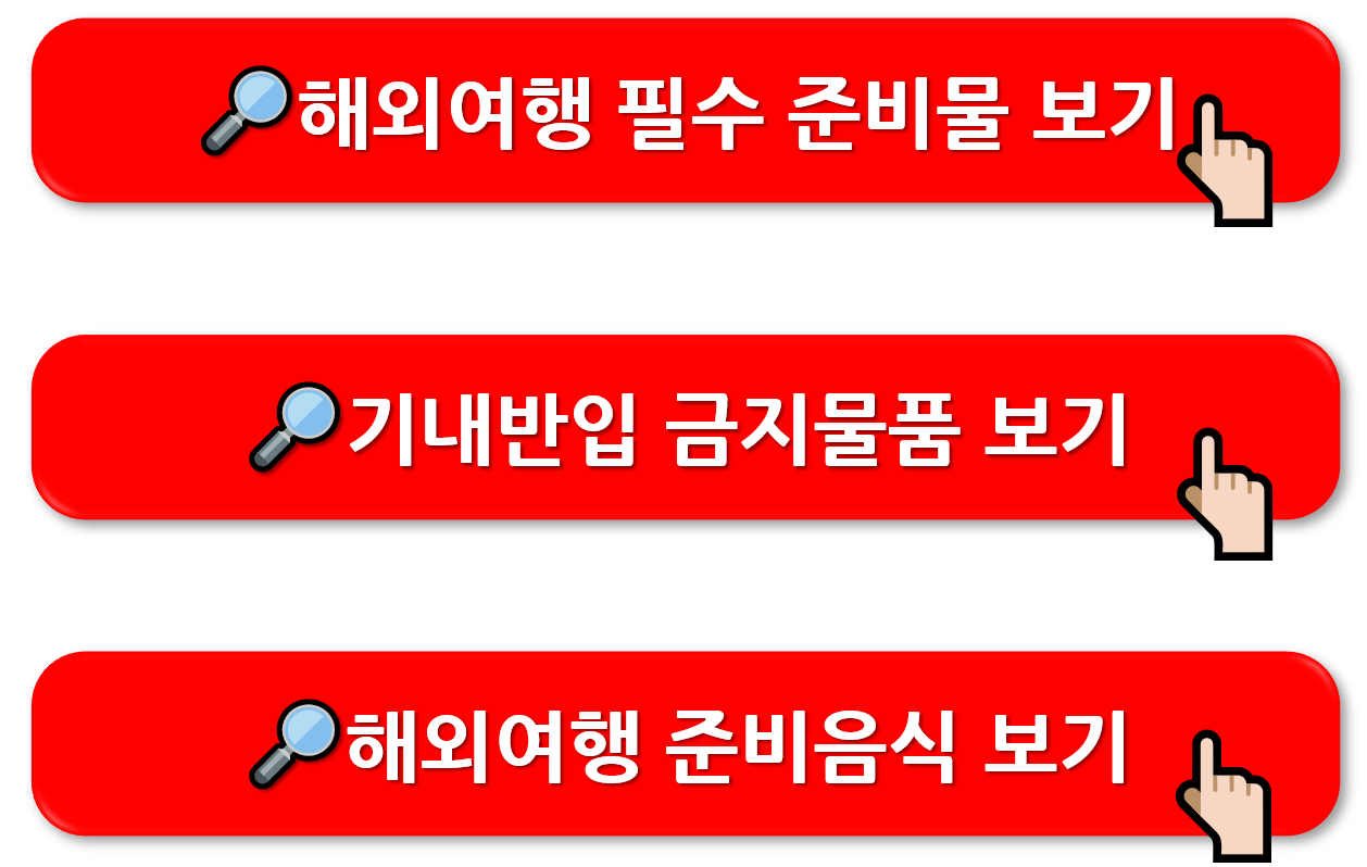 해외여행 짐싸기 [항공사별 수하물 규정]