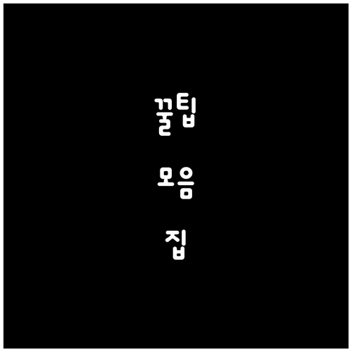 미국 ESTA $21 인상! 기존 신..