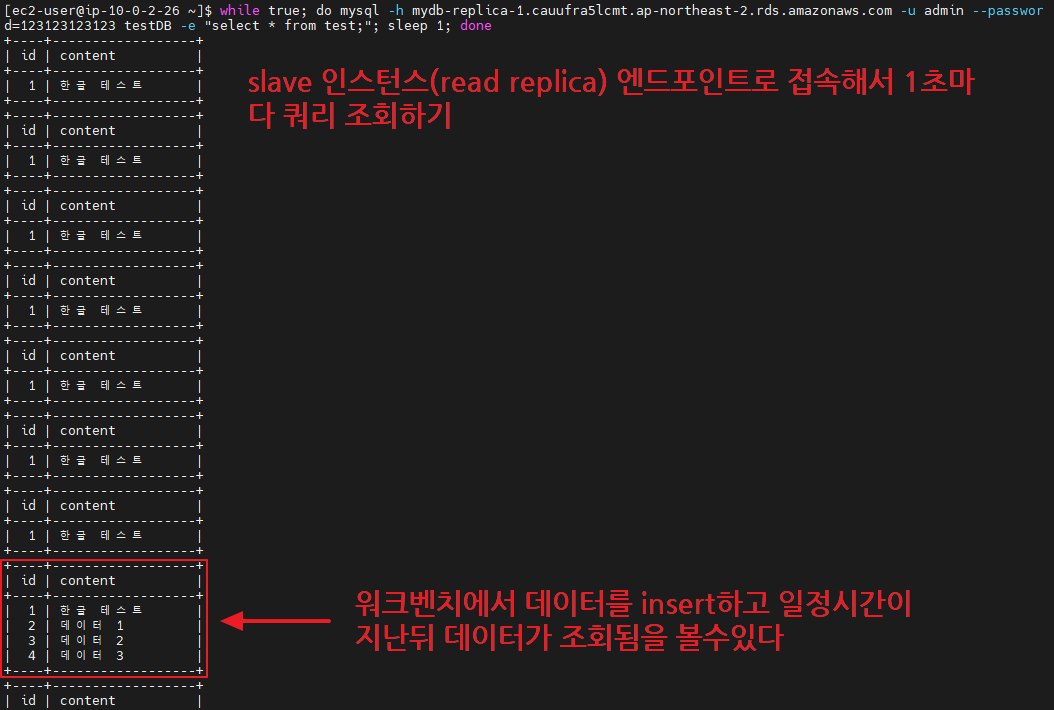 RDS Read Replica