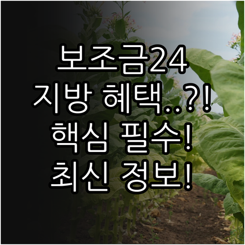 보조금24 지방자치단체 혜택 포함 범..