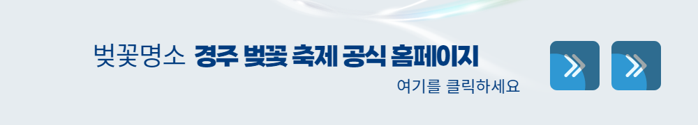 경주벚꽃축제
