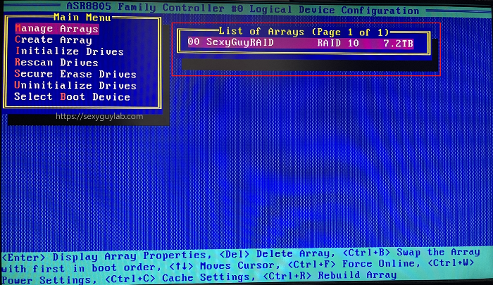 Manage Arrays 메뉴 진입 화면
