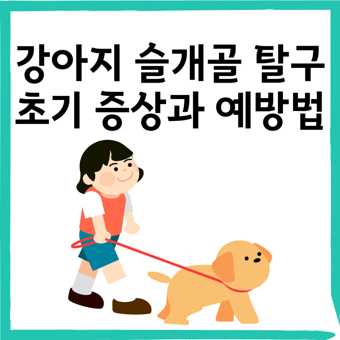강아지 슬개골 탈구 초기 증상부터 예방법까지! 꼭 알아야 할 관리 꿀팁 총정리