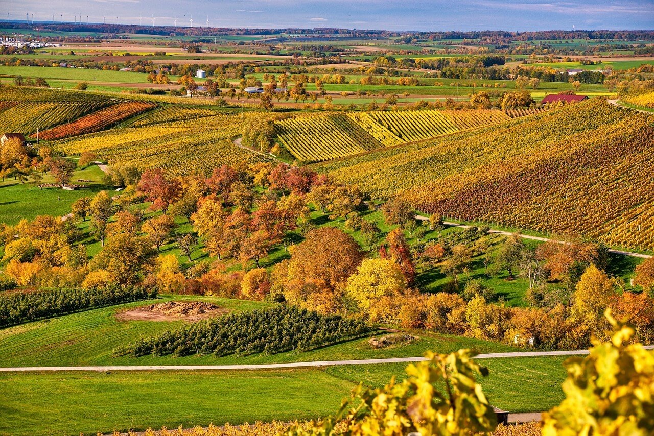 오대산 단풍 절정시기