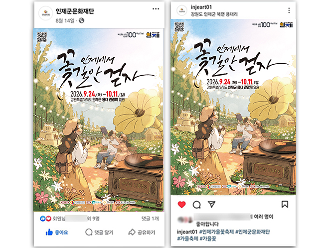 인제가을꽃축제 살펴보기 7