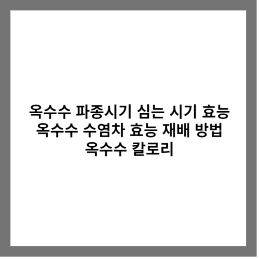 옥수수 파종시기 심는 시기 효능 옥수수 수염차 효능 재배 방법 옥수수 칼로리