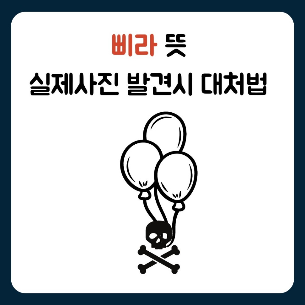 삐라 뜻 사진 발견시 대처법