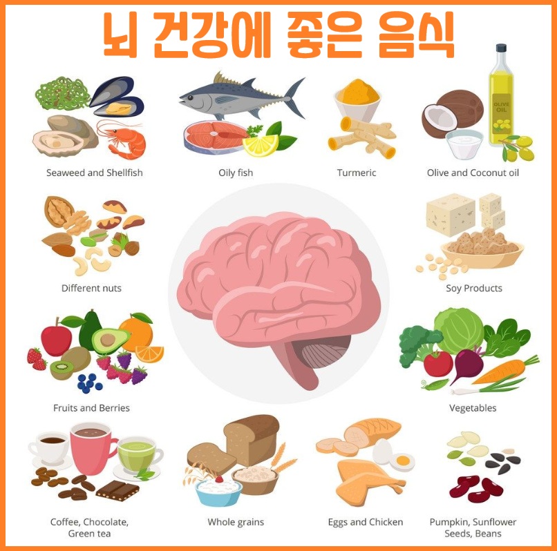 뇌 건강에 좋은 음식