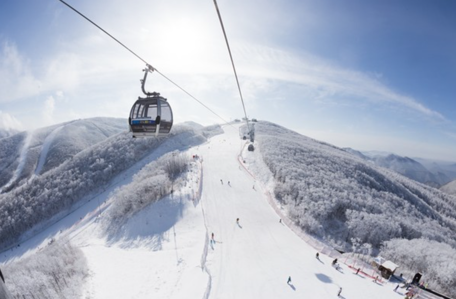 2024/2025 스키장 개장일