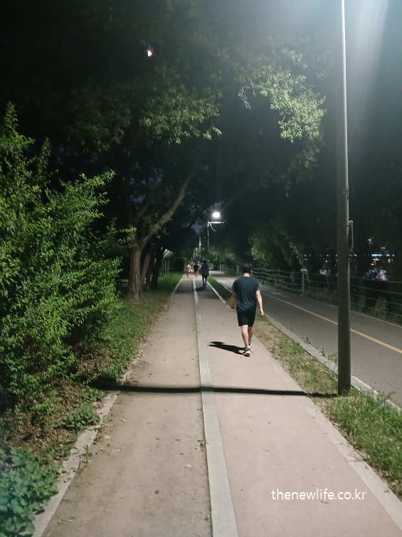 가로등 불빛 아래 공원 길을 걷는 사람 – 걷기 운동 올바른 자세