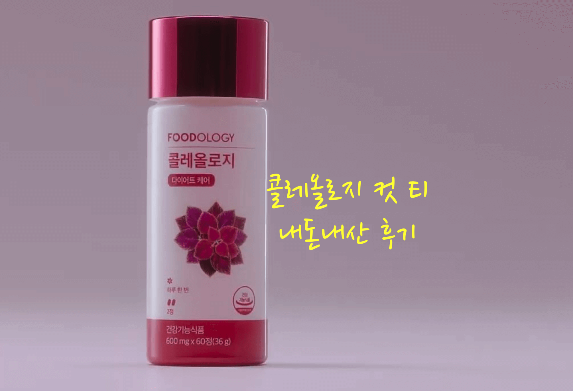 콜레올로지 내돈내산