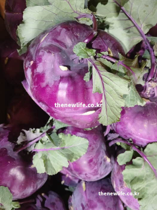 콜라비 효능 중 혈압 조절에 좋은 칼륨이 풍부한 실사진