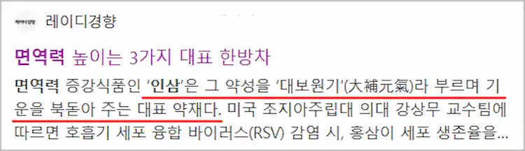 인삼 효능 기사 이미지