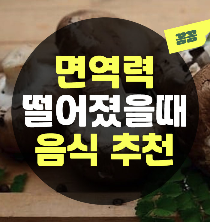 면역력떨어질떄음식