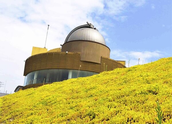 순천만 습지 용산전망대